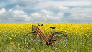 Rozmowa dnia: O życiu na rowerze Radio FARA